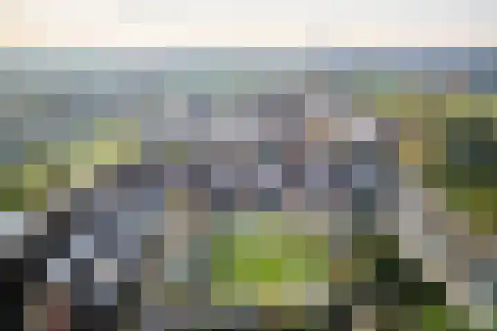 Rietkant 12 Noordwijk thumbnail 41