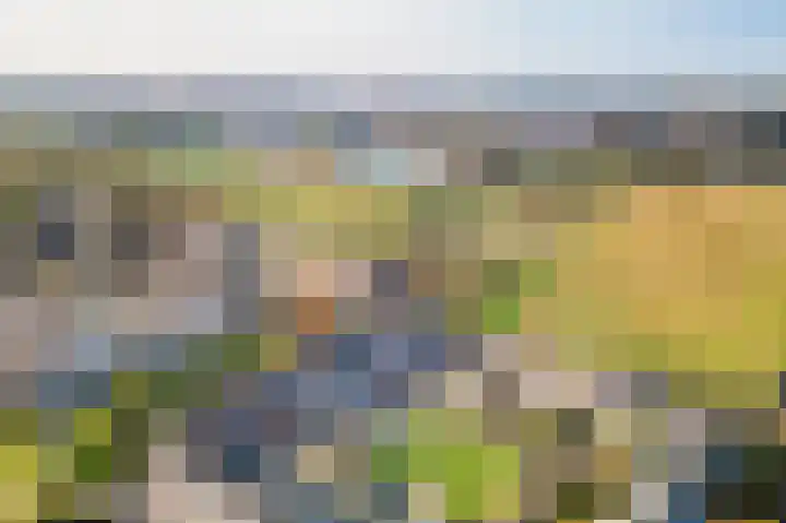 Rietkant 12 Noordwijk thumbnail 43