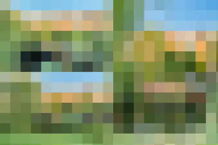 Rietkant 12 Noordwijk thumbnail 46