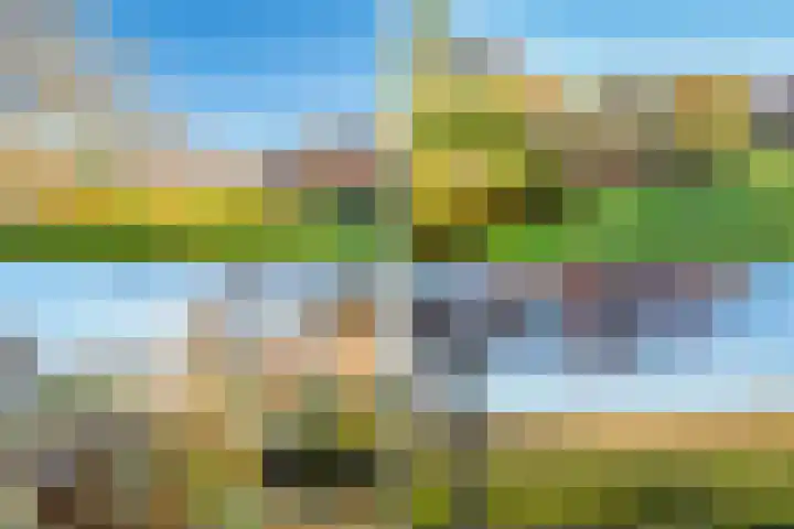 Rietkant 12 Noordwijk thumbnail 47