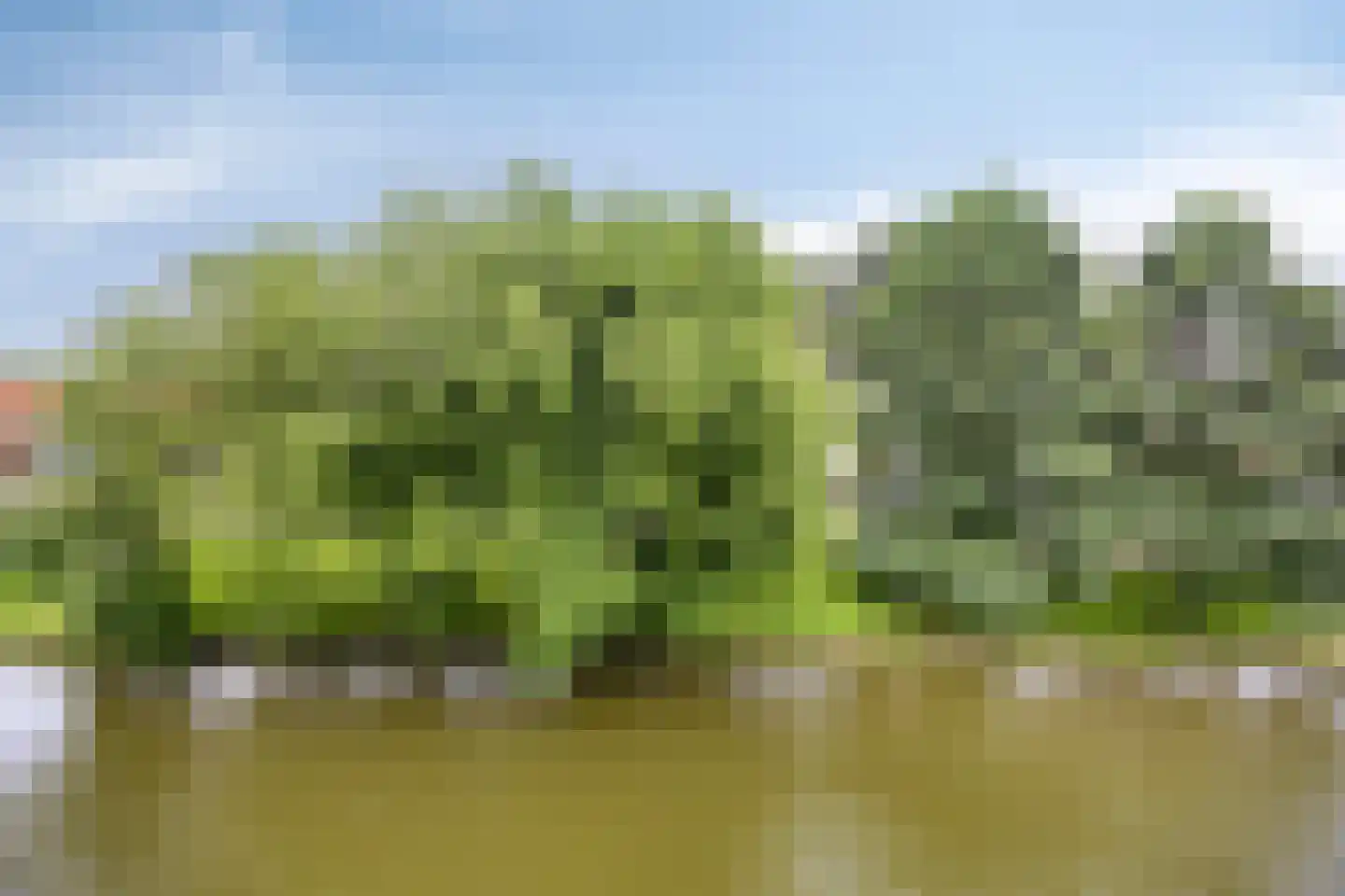 Rietkerkweg 318 Rotterdam thumbnail 17