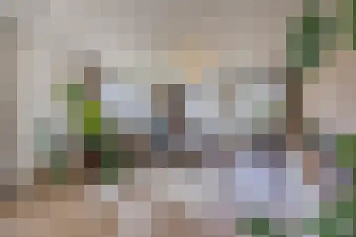Rietkerkweg 378 Rotterdam thumbnail 12