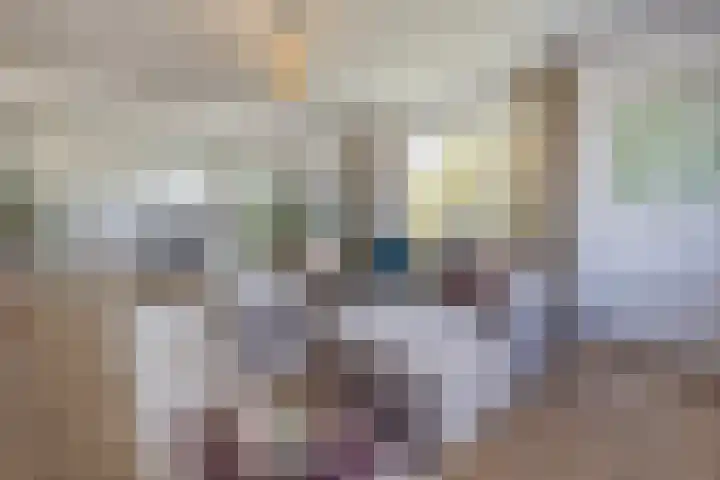 Rietkerkweg 378 Rotterdam thumbnail 13