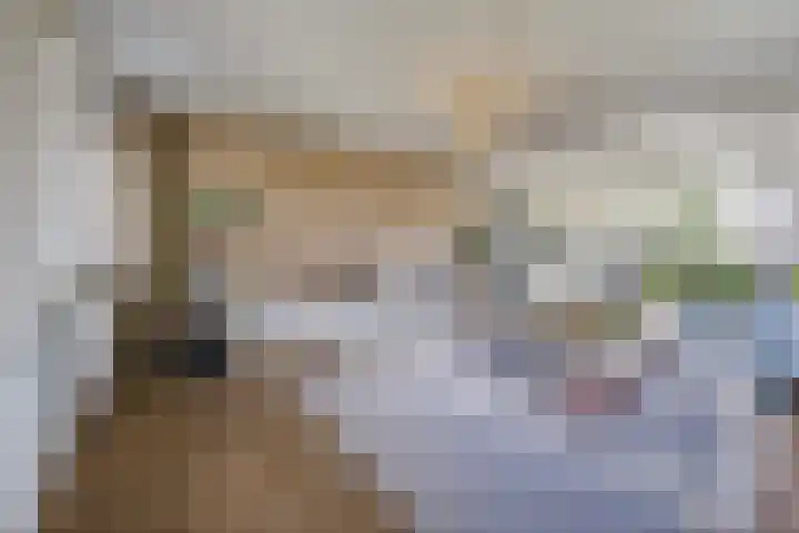 Rietkerkweg 378 Rotterdam thumbnail 14