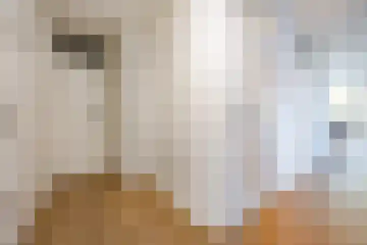 Rietkerkweg 378 Rotterdam thumbnail 22