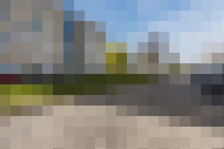 Rietkerkweg 378 Rotterdam thumbnail 25