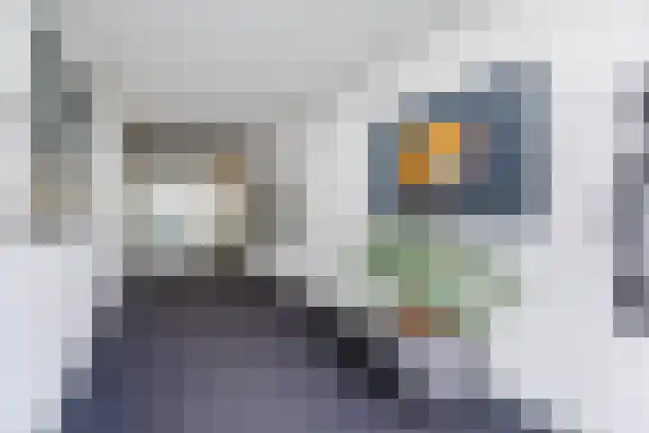 Rietkerkweg 378 Rotterdam thumbnail 26