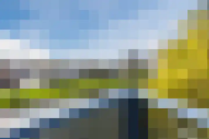 Rietkerkweg 378 Rotterdam thumbnail 30