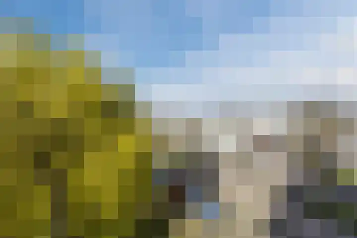 Rietkerkweg 378 Rotterdam thumbnail 31