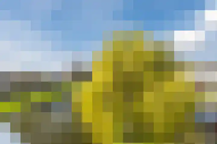 Rietkerkweg 378 Rotterdam thumbnail 32