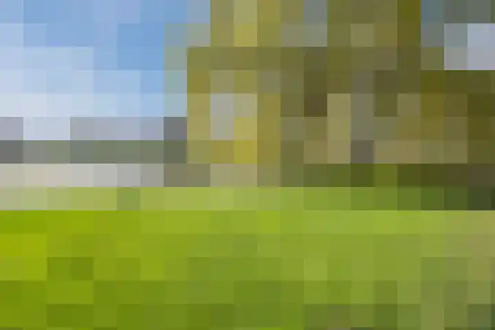 Rietkerkweg 378 Rotterdam thumbnail 33