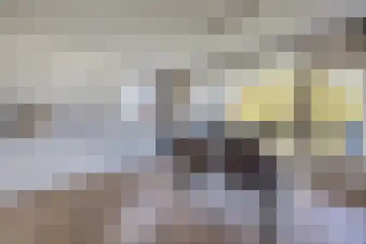 Rietkerkweg 378 Rotterdam thumbnail 7