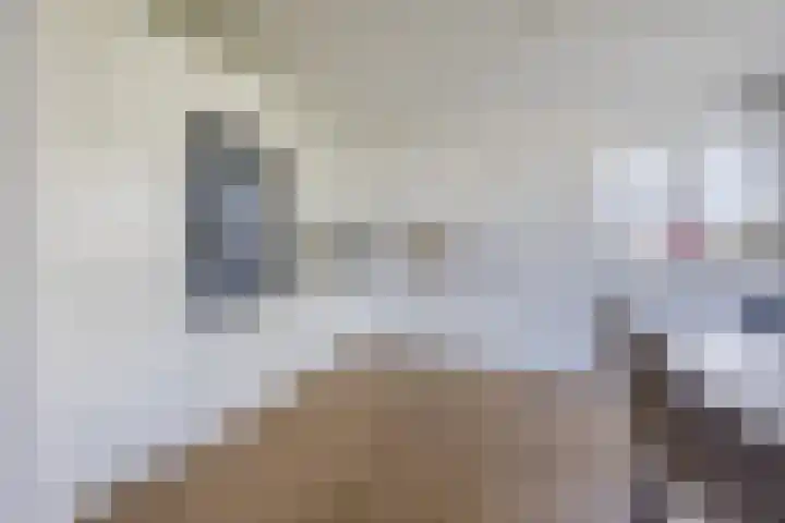Rietkerkweg 378 Rotterdam thumbnail 8