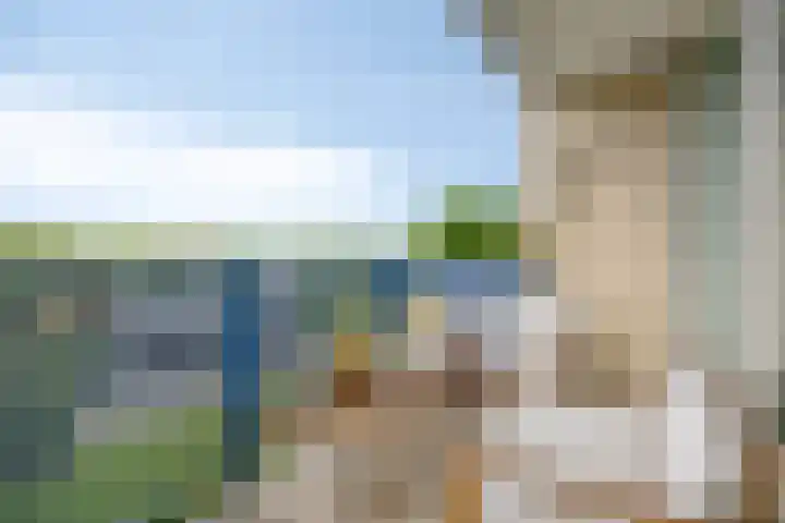 Rietkerkweg 382 Rotterdam thumbnail 20