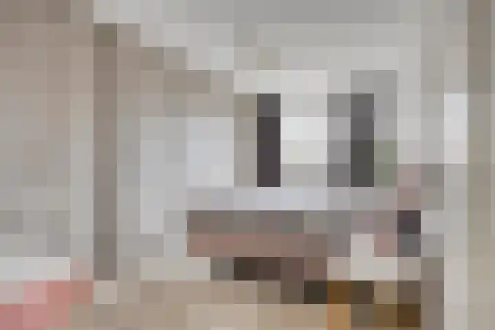 Rietkerkweg 382 Rotterdam thumbnail 21
