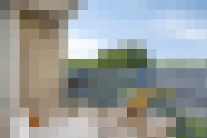 Rietkerkweg 382 Rotterdam thumbnail 26