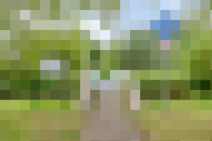 Rietkerkweg 382 Rotterdam thumbnail 29