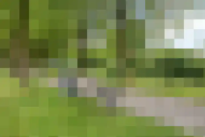 Rietkerkweg 382 Rotterdam thumbnail 30