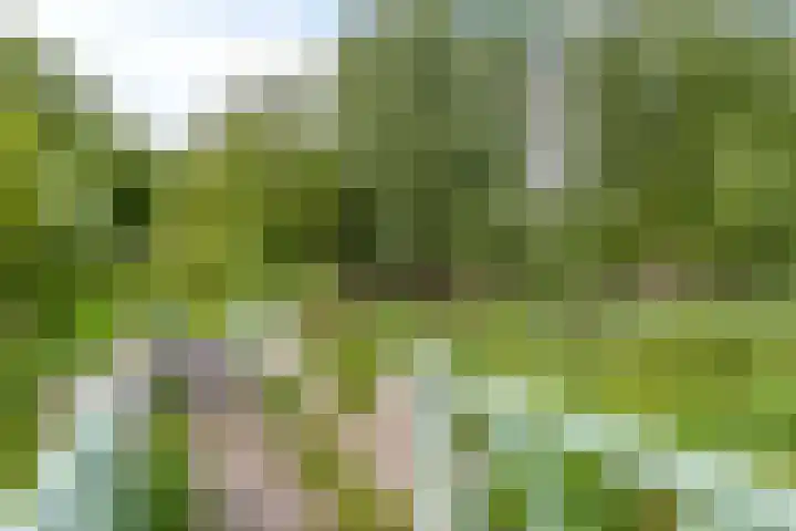 Rietkerkweg 382 Rotterdam thumbnail 31