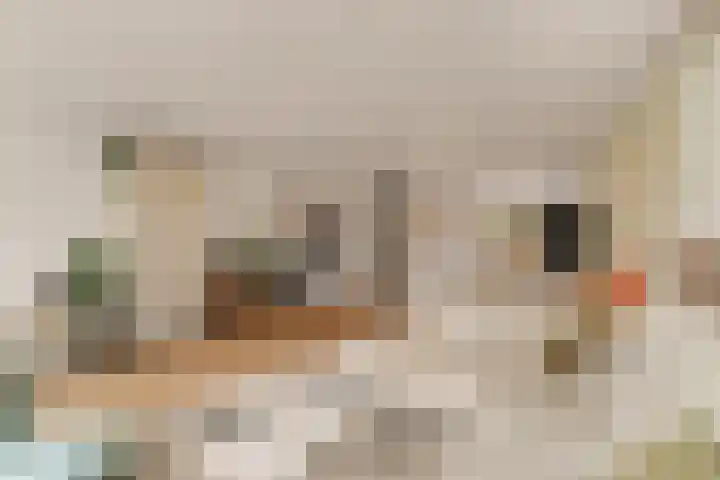 Rietkerkweg 39 Rotterdam thumbnail 10
