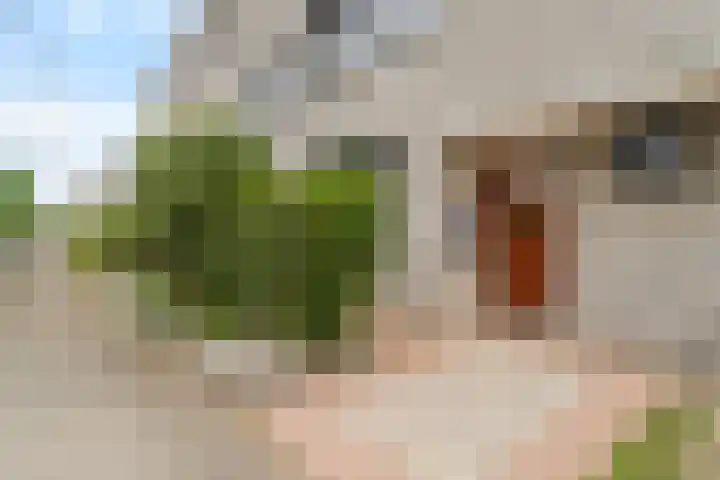 Rietkerkweg 39 Rotterdam thumbnail 26