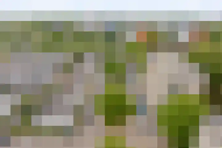 Rietkerkweg 39 Rotterdam thumbnail 31
