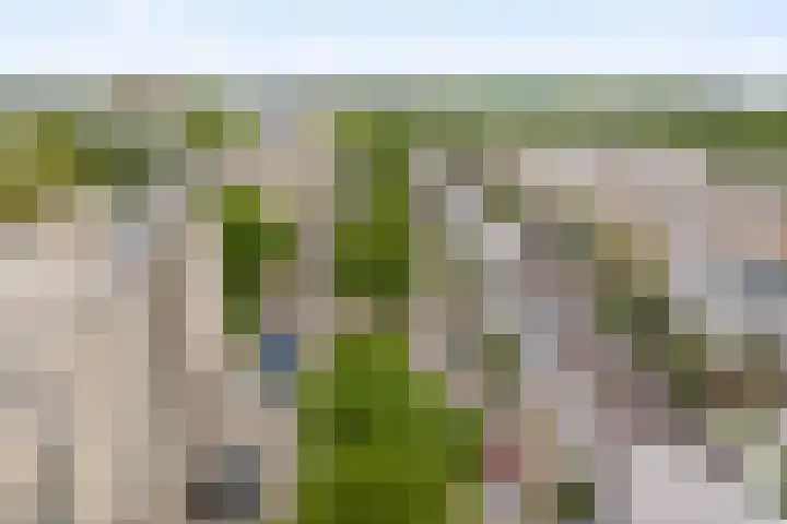 Rietkerkweg 39 Rotterdam thumbnail 32