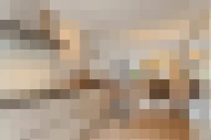 Rietkerkweg 49 Rotterdam thumbnail 11