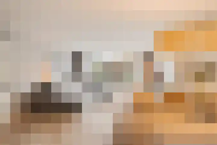 Rietkerkweg 49 Rotterdam thumbnail 12