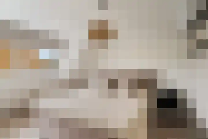 Rietkerkweg 49 Rotterdam thumbnail 14