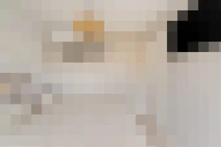 Rietkerkweg 49 Rotterdam thumbnail 17