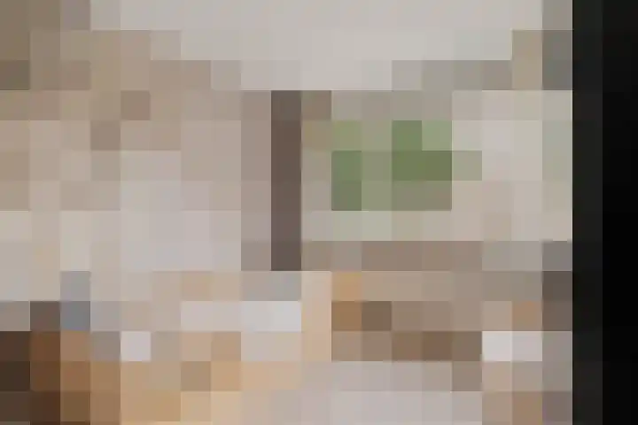 Rietkerkweg 49 Rotterdam thumbnail 18