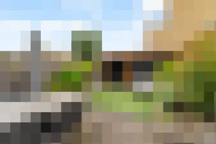 Rietkerkweg 49 Rotterdam thumbnail 28