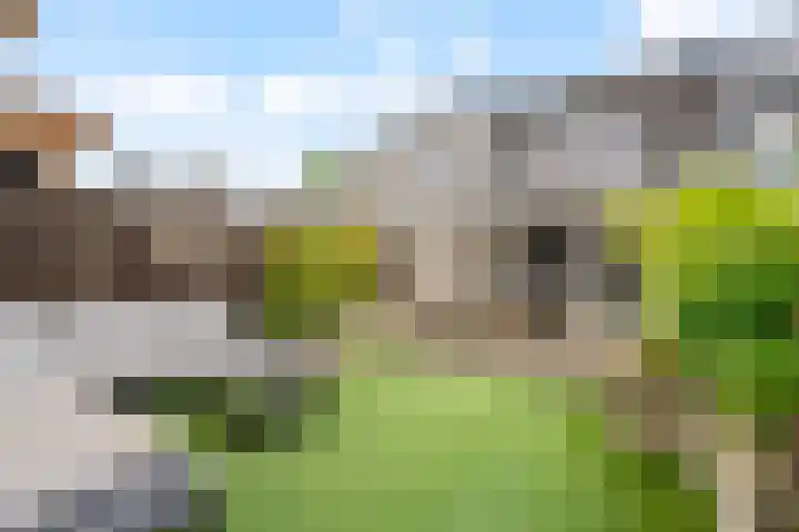 Rietkerkweg 49 Rotterdam thumbnail 29