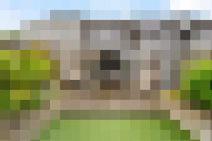 Rietkerkweg 49 Rotterdam thumbnail 31