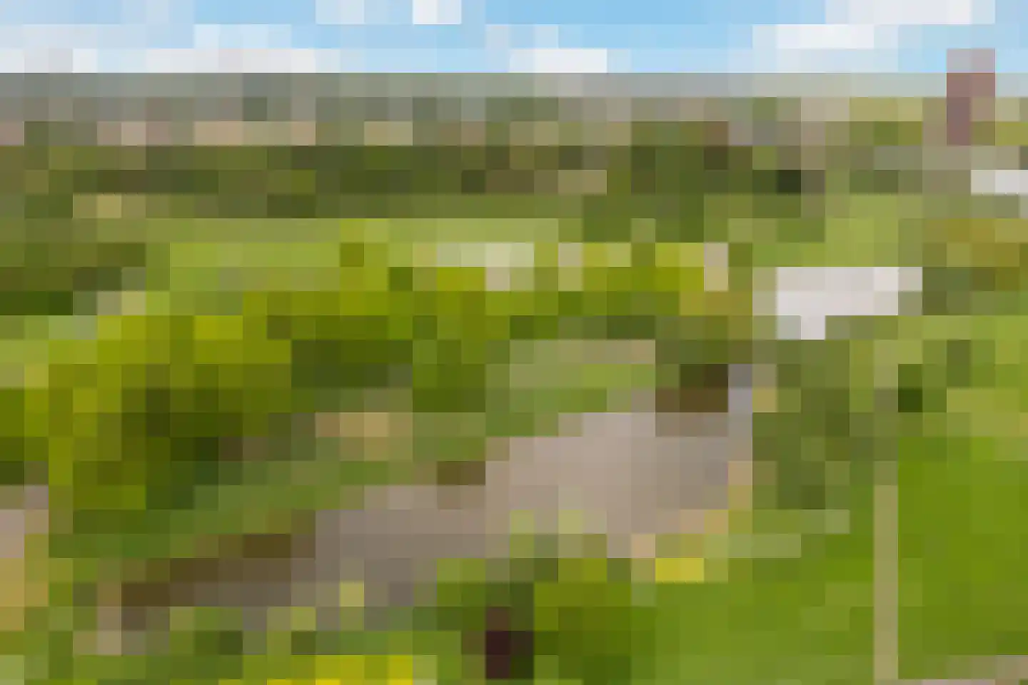 Rietkerkweg 69 Rotterdam thumbnail 24