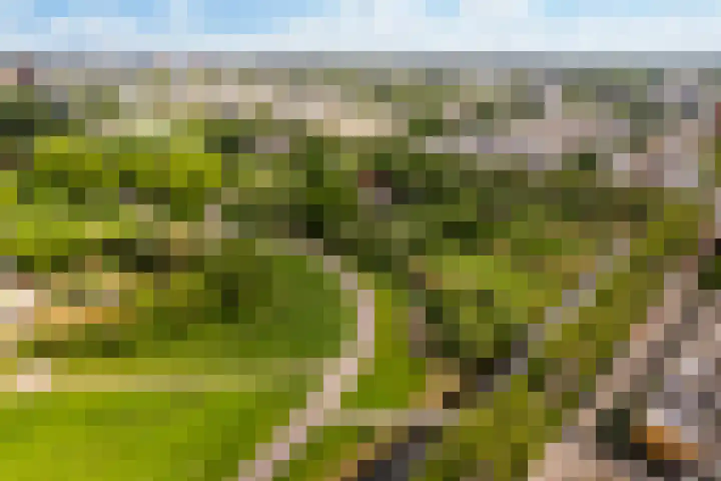 Rietkerkweg 69 Rotterdam thumbnail 25