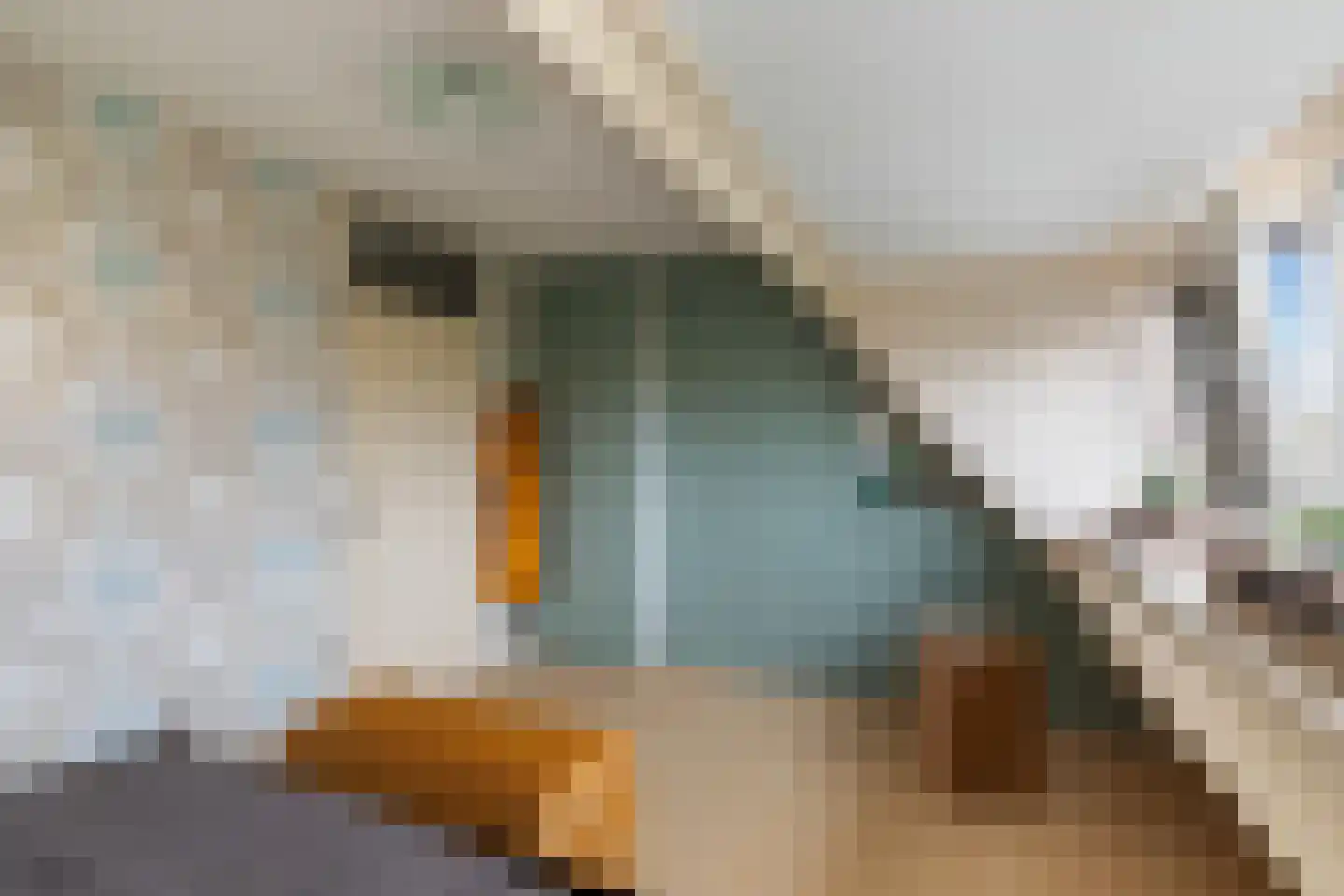 Rietkerkweg 69 Rotterdam thumbnail 34
