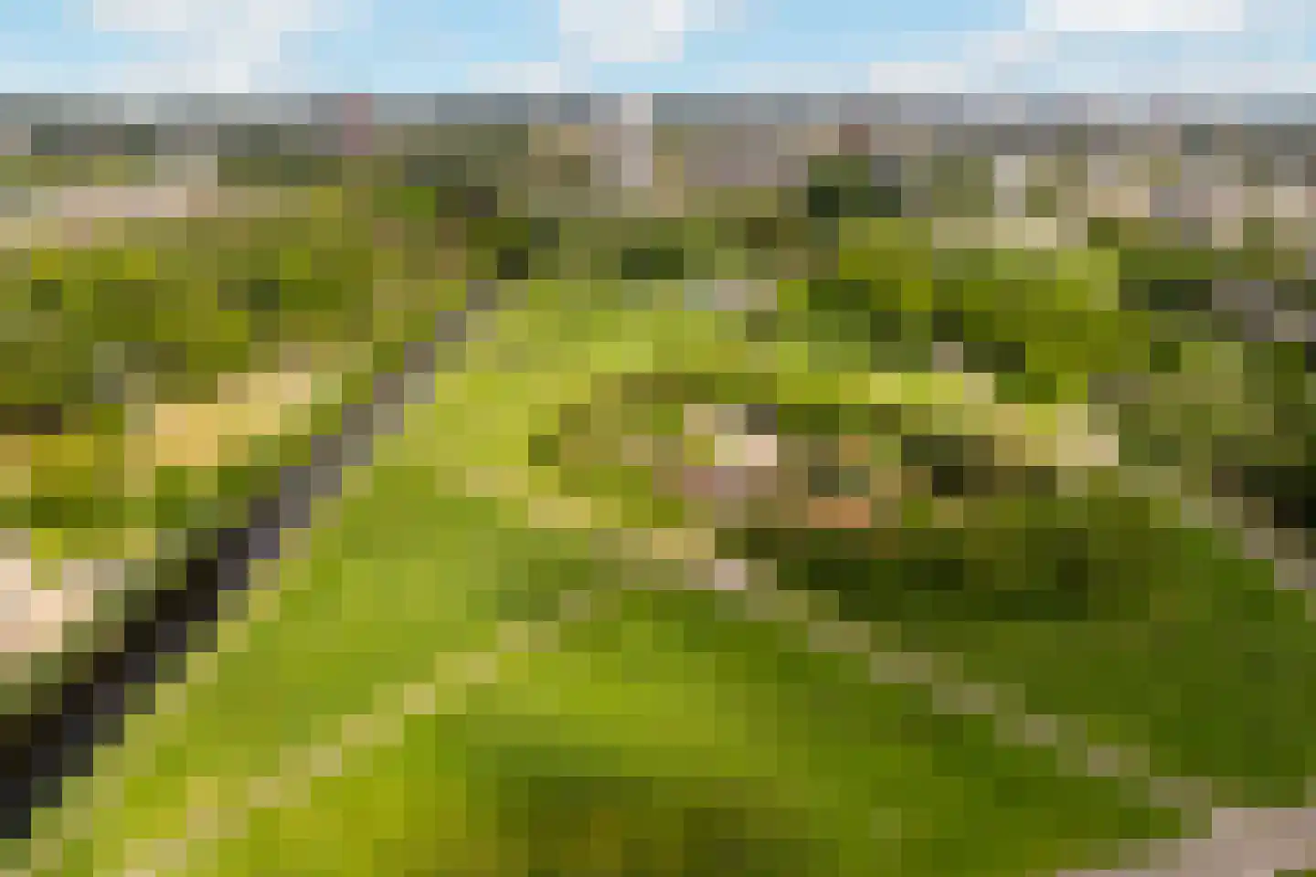 Rietkerkweg 69 Rotterdam thumbnail 46