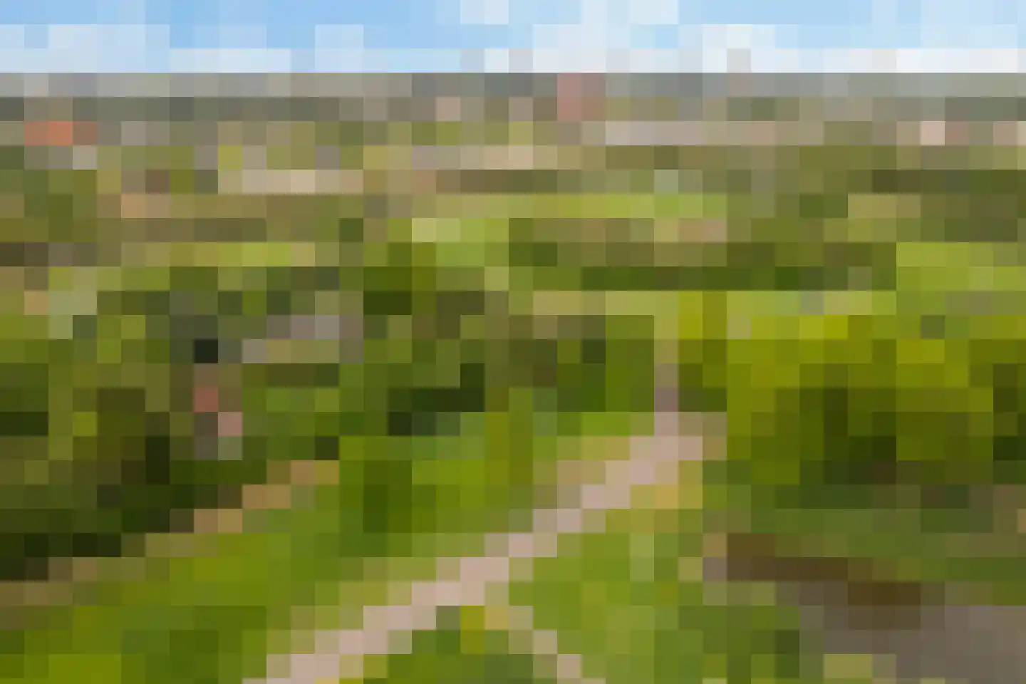 Rietkerkweg 69 Rotterdam thumbnail 47