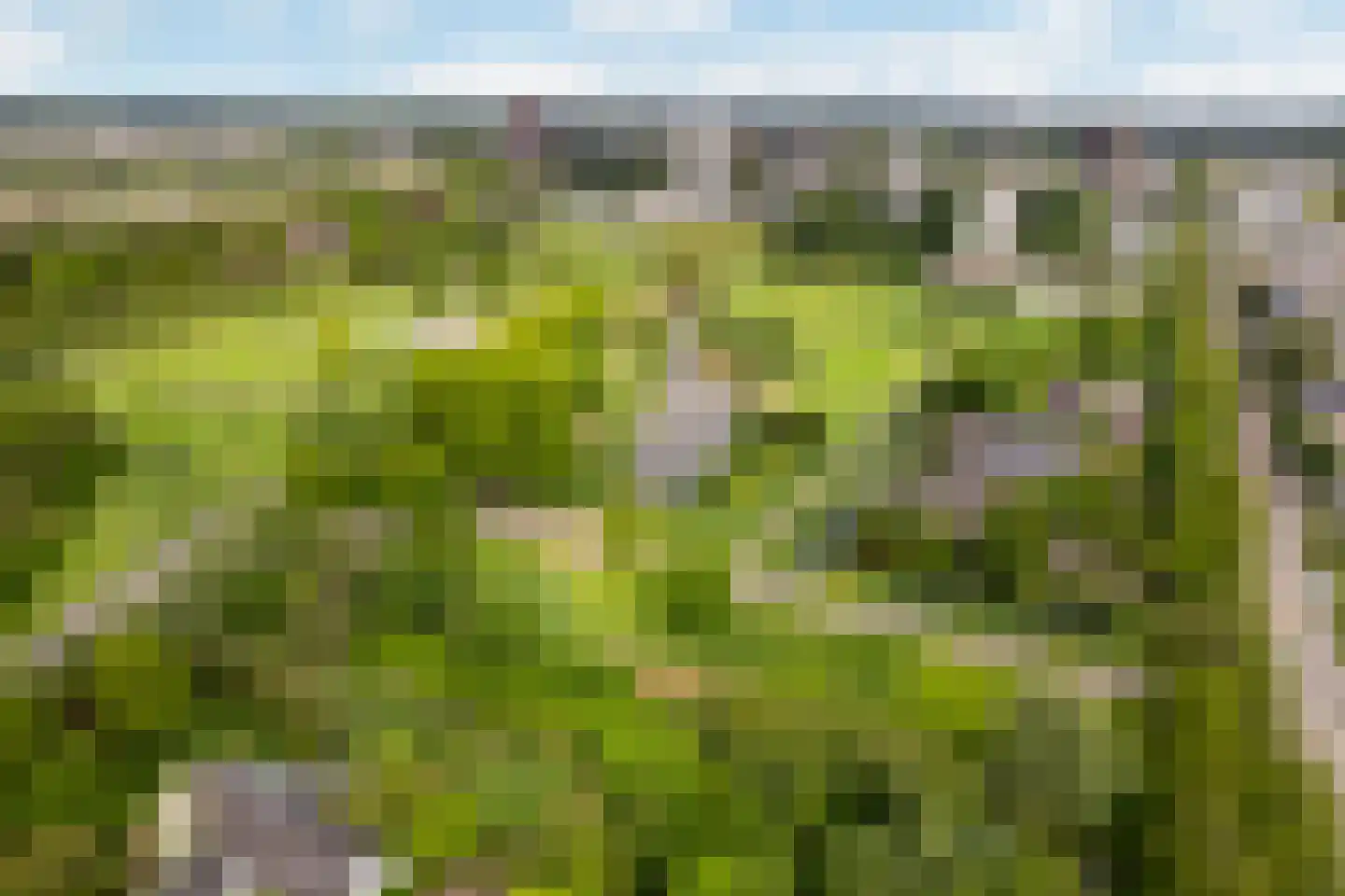 Rietkerkweg 69 Rotterdam thumbnail 48