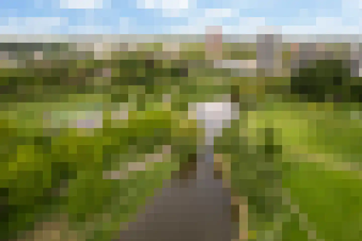 Rietkerkweg 69 Rotterdam thumbnail 50