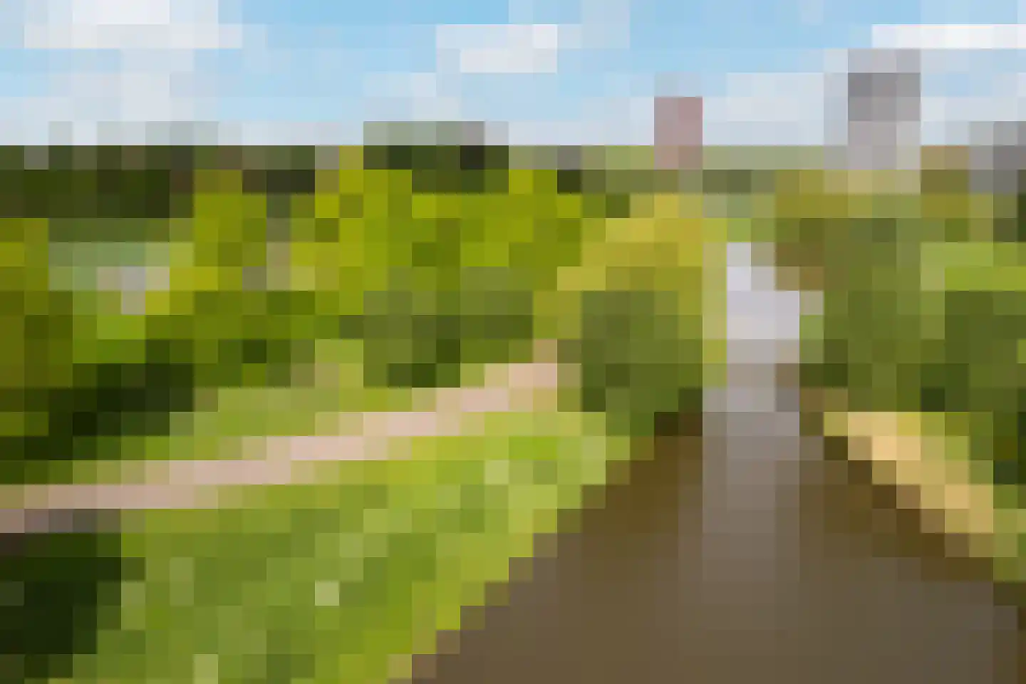 Rietkerkweg 69 Rotterdam thumbnail 51