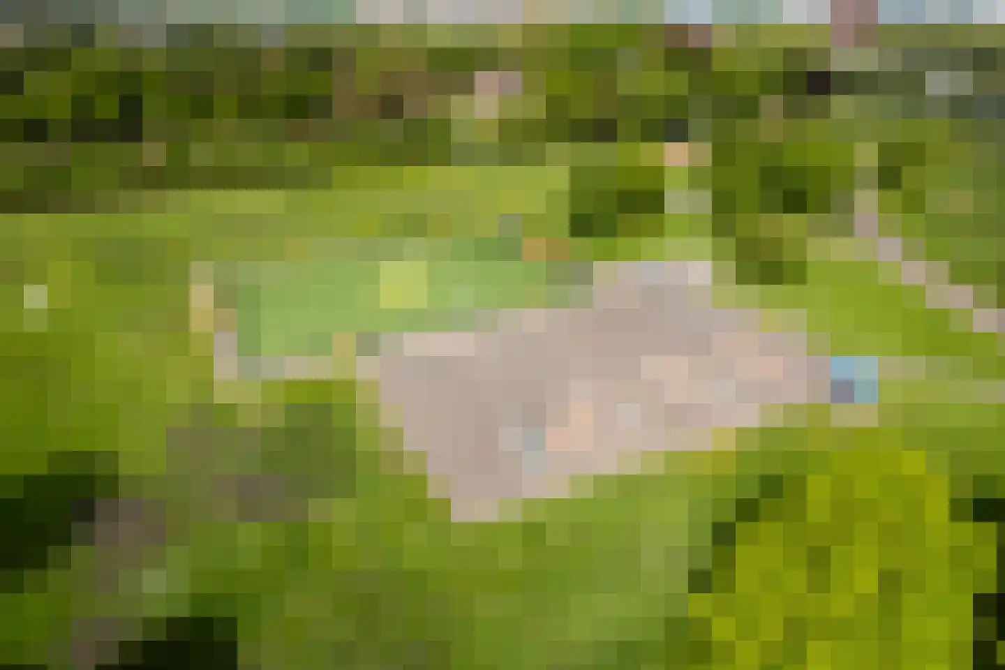 Rietkerkweg 69 Rotterdam thumbnail 52