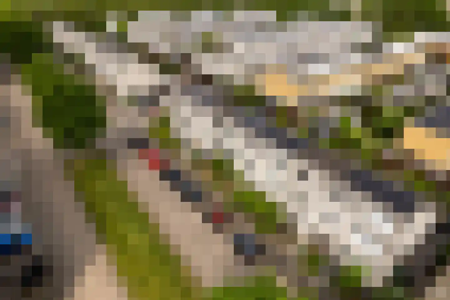 Rietkerkweg 69 Rotterdam thumbnail 53