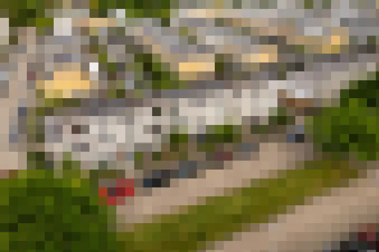 Rietkerkweg 69 Rotterdam thumbnail 54
