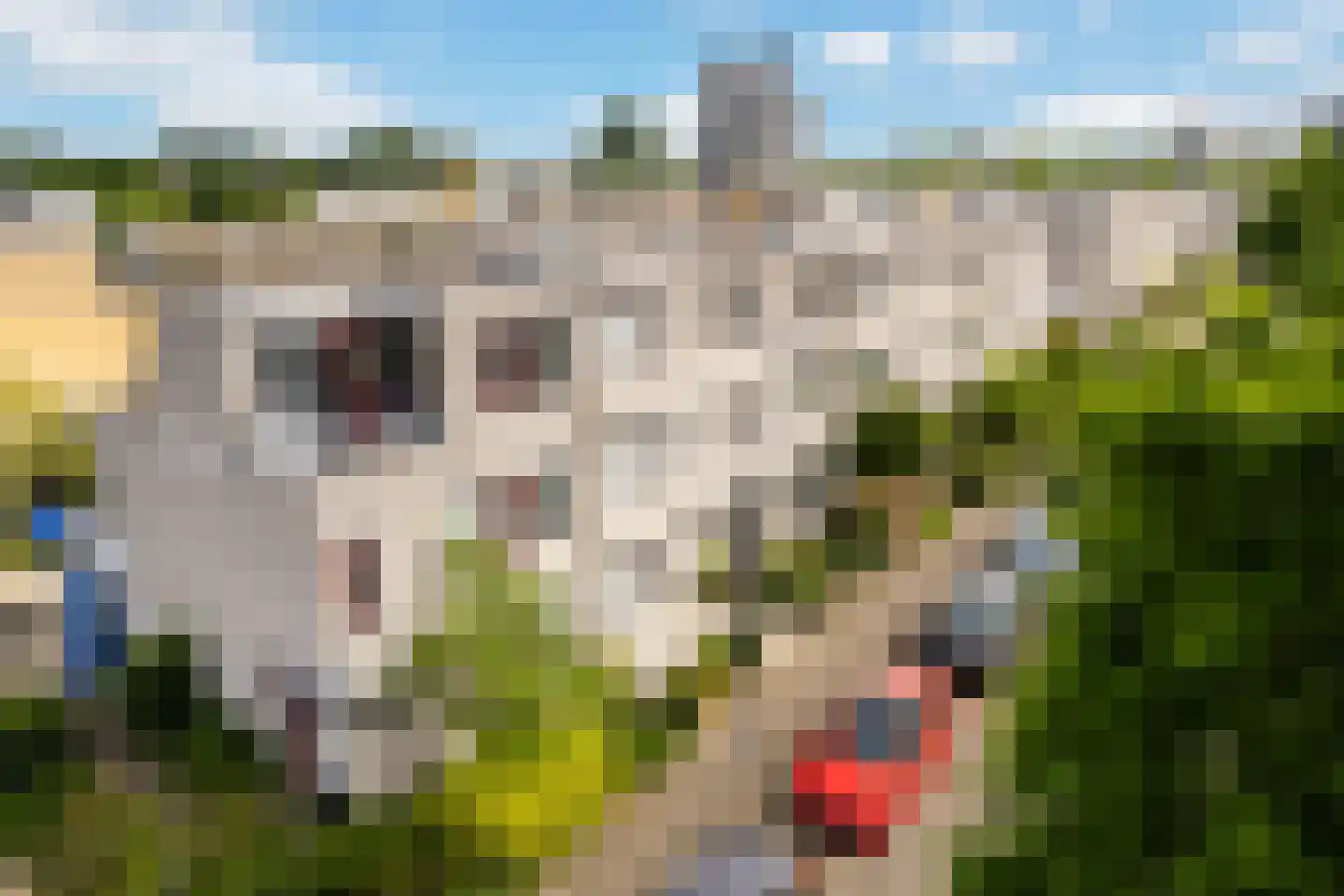 Rietkerkweg 69 Rotterdam thumbnail 56