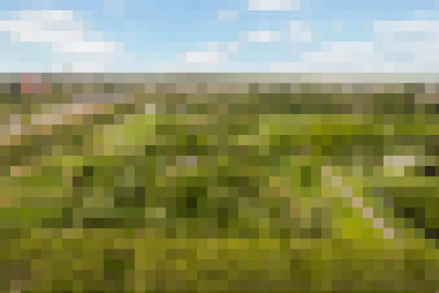 Rietkerkweg 69 Rotterdam thumbnail 8