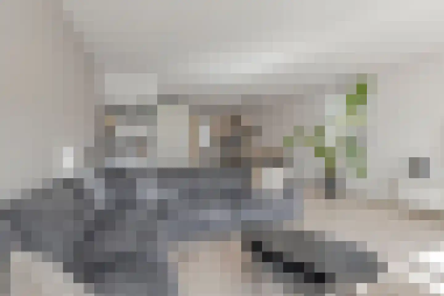Rietkoog 20 Zwaag thumbnail 14
