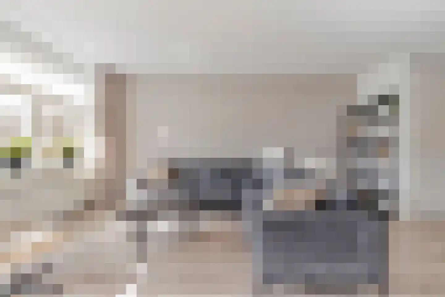 Rietkoog 20 Zwaag thumbnail 15